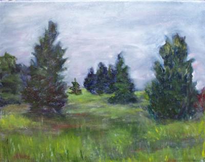 Landscape 3, 11x14 oil