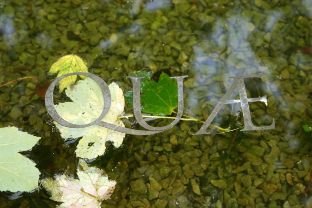 philosophical garden at Erasmuss house