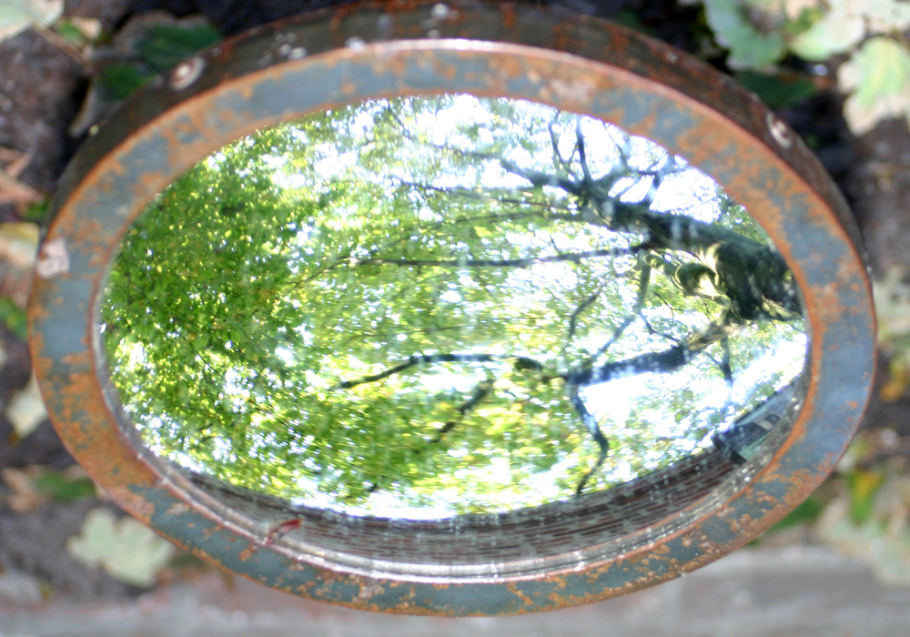 philosophical garden at Erasmuss house
