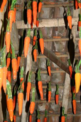 1000 glass carrots by Maria Roosen