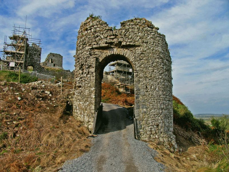   castle ruins
 Rock of Dunamace

County Laoise
