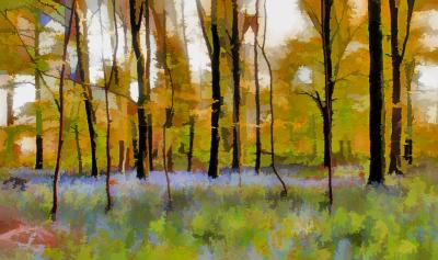 v3/53/67053/3/49378464.a7902bluebellsartcopy.jpg