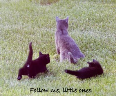 follow-me-little-ones_IMG_.jpg