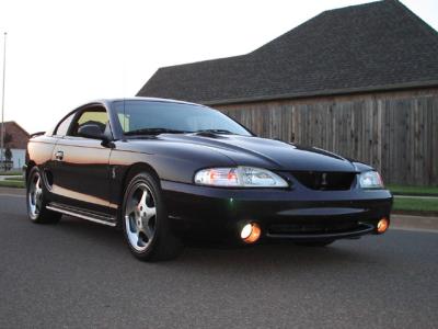 cobra1.jpg