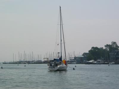 Annapolis Harbor and City Dock