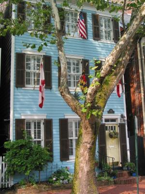 The blue house with the tree