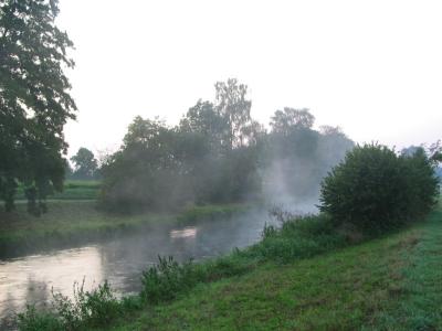 Autumn fog before sunrise