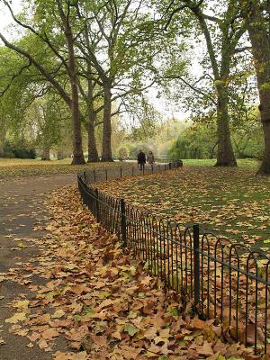Leafy path
