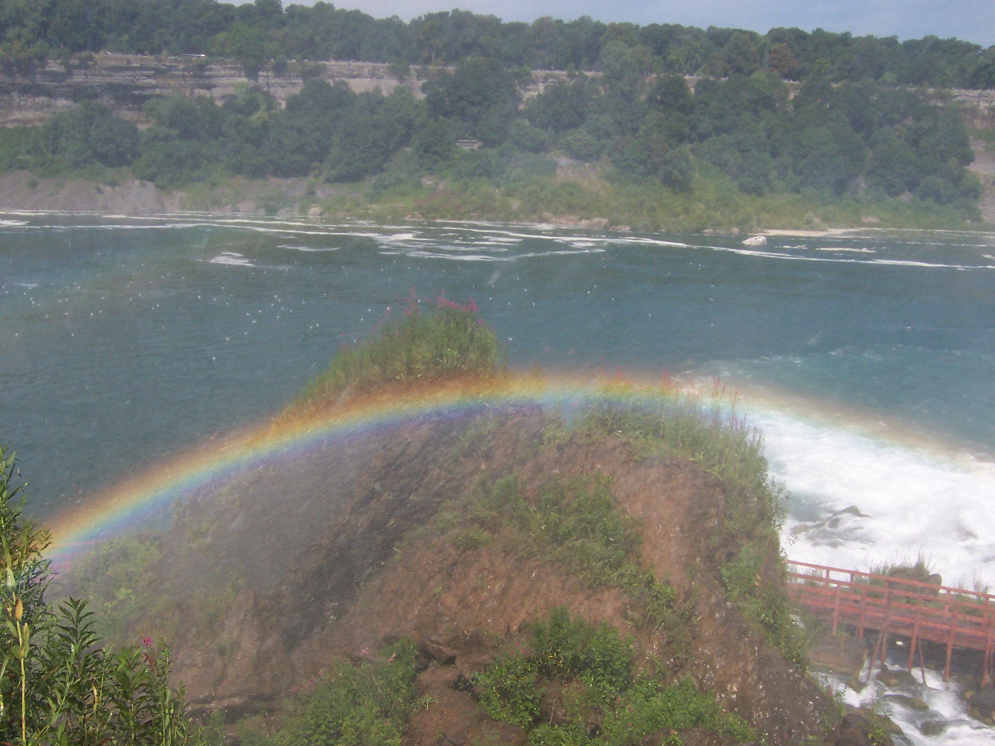 100_0721.JPG