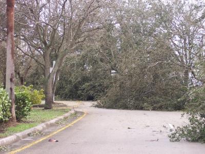 HURRICANE WILMA 10-24-05