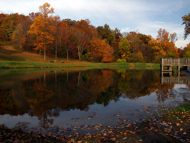 wMt Airy Park1.jpg