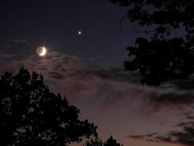 wCrescent Moon  Venus1 11-5-04.jpg