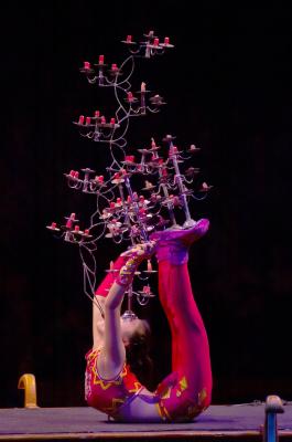 Circus