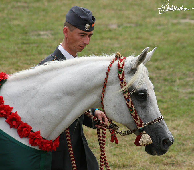 Janw_Podlaski_2005_niedziela-dekoracje