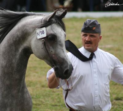 v3/54/494954/3/47902928.Cirkus2.jpg