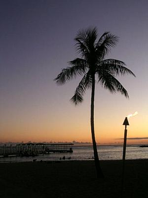 Waikiki sunset