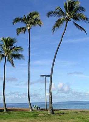 Ana Moana park