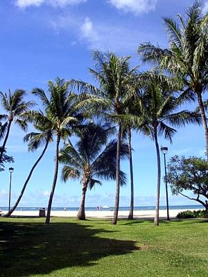 Hilton beach