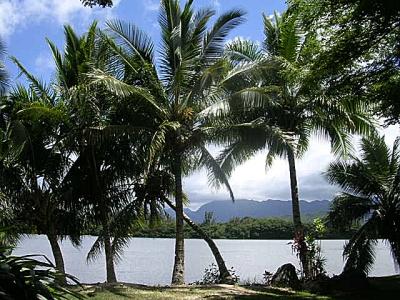 fish pond (set for 50 First Dates movie)