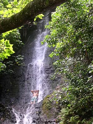 Tarzan