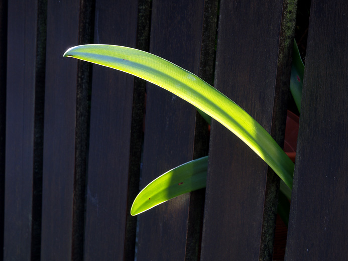 Ph1211.jpg