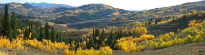 Aspen Panoramic