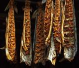 Salmon Fillets