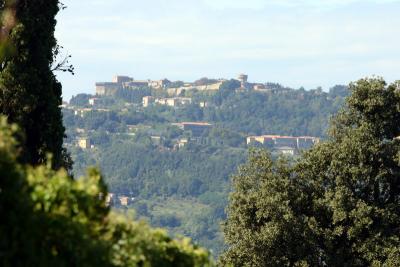 View from the Swimming pool to Volterra