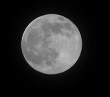 Moon 0593.JPG