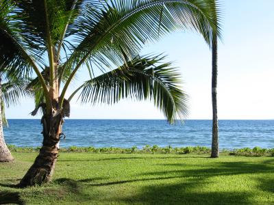 View from the Lanai