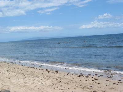 Beach view