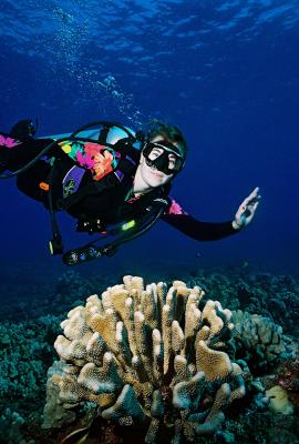 Dani Dive