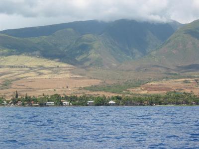 Shore View