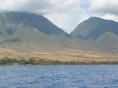 Shore View