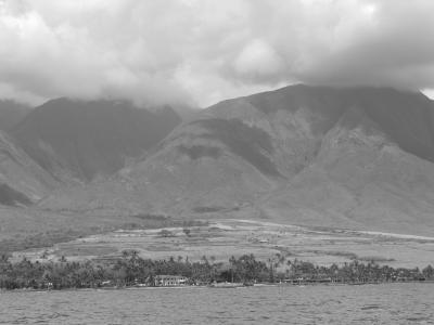Shore View