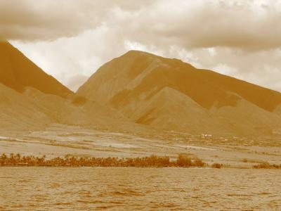 Shore View