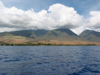 Shore View