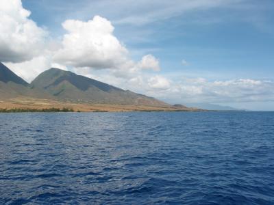 Shore View
