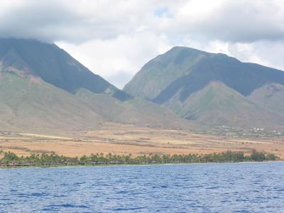 Shore View