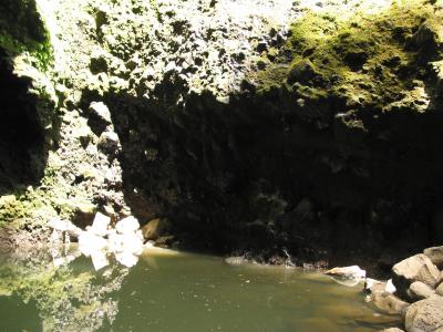 Road to Hana Hike