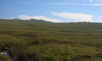 High Moor Landscape