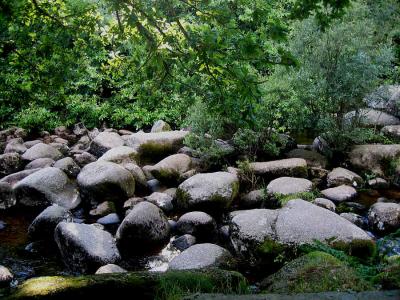 River Dart Boulders