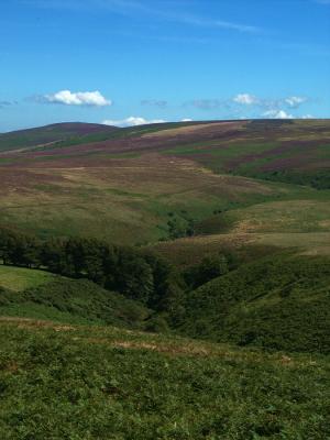 Deep Valleys and Rolling Hills high up on Exmoor