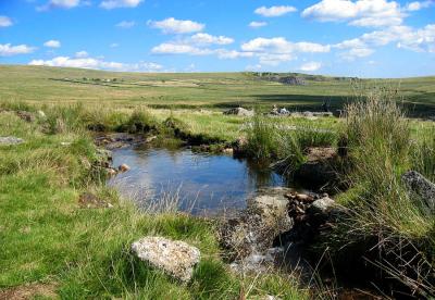 Leat on the High Moor