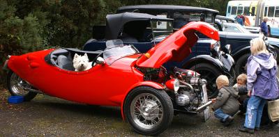 3-Wheeler and Dog 2