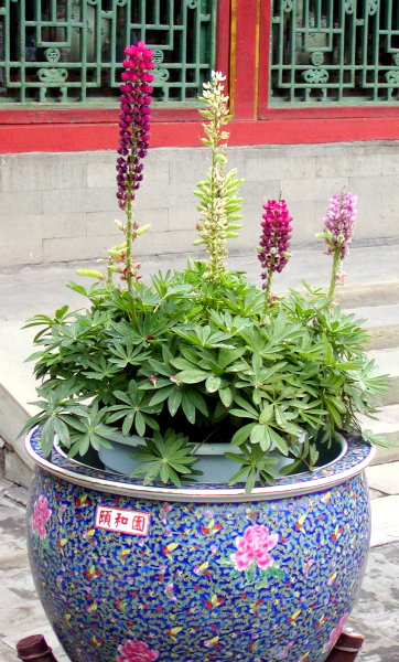 P1010020a.JPG