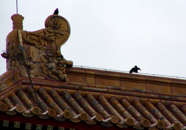 P1010070a.JPG