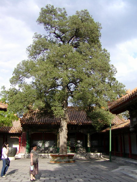 P1010081a.JPG