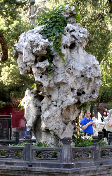 P1010082a.JPG