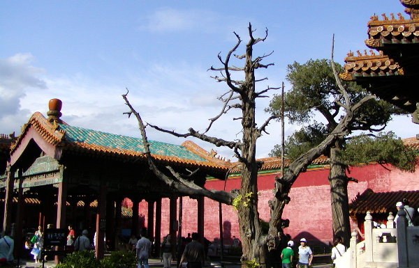 P1010085a.JPG